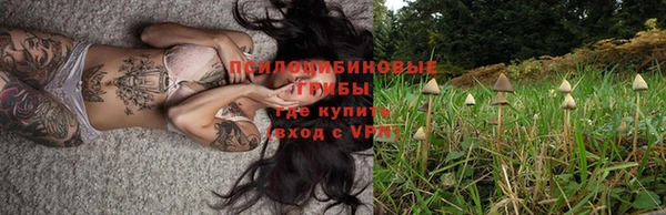 гидра Верхнеуральск