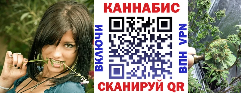Купить где  Голицыно  Шишки марихуана сатива 